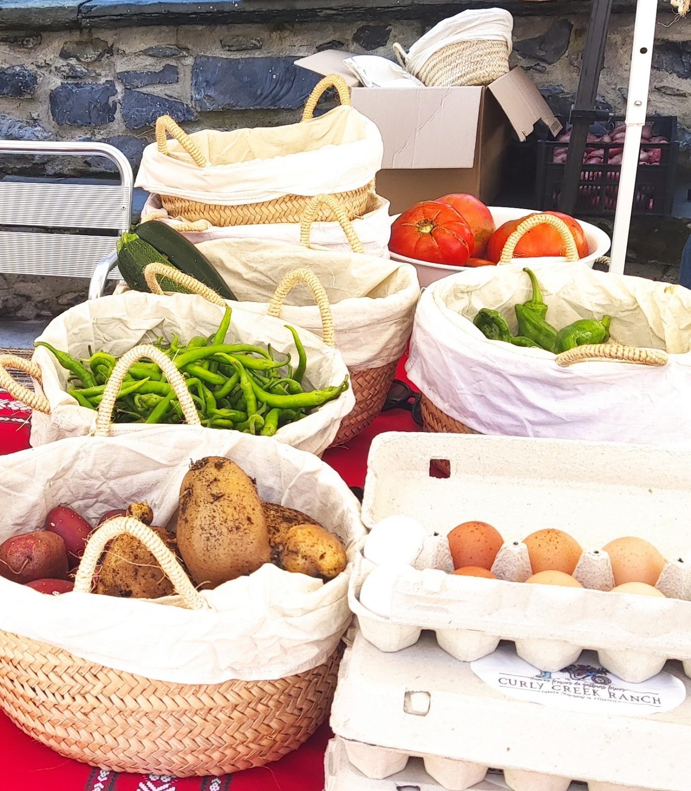Mercado Itinerante de Mendialdea+XXI Talo Eguna (Día del talo) (Leitza)